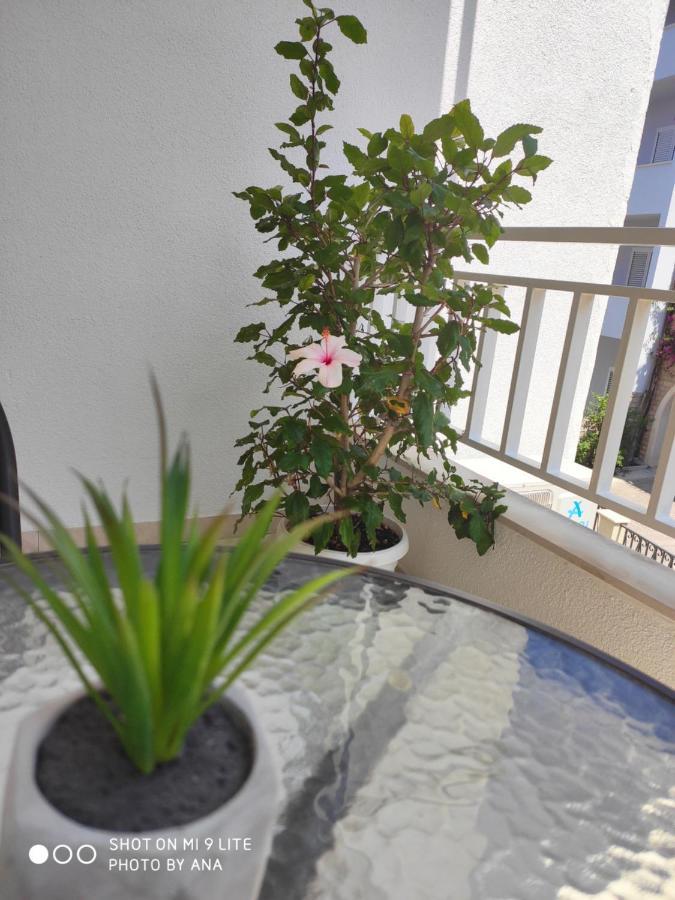 Apartments Jadranka Makarska Esterno foto